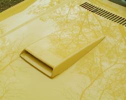 Hood Scoop